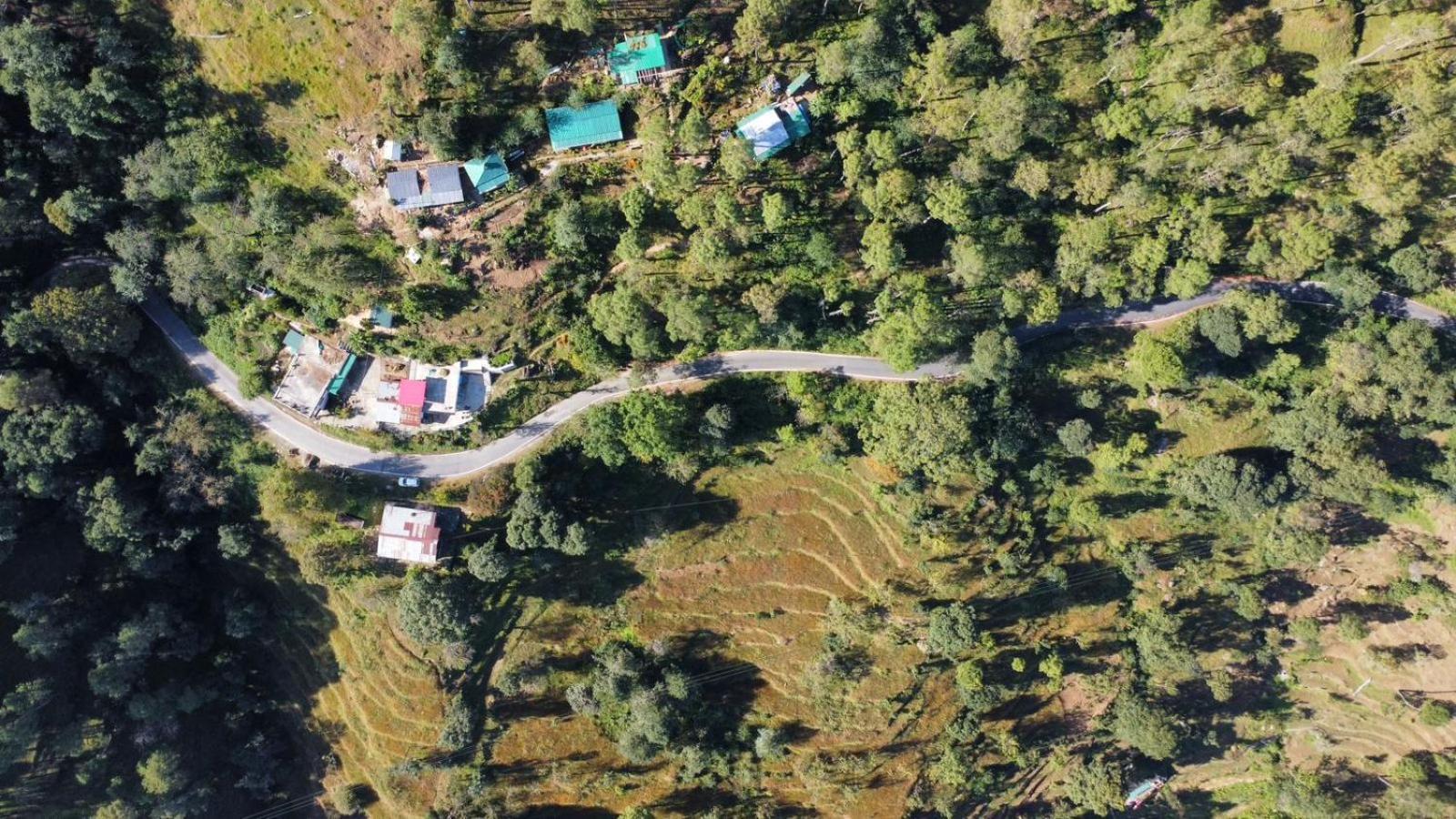 Zenoaks Homestay Almora Exterior photo